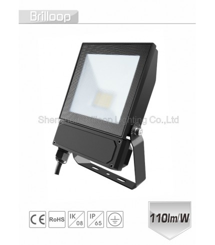 F17.AC Floodlight